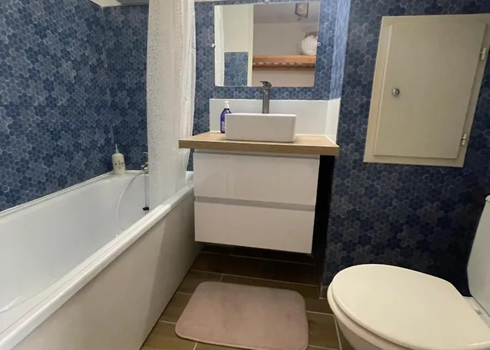 Appartement 4 Pers Pra Loup 1500 *