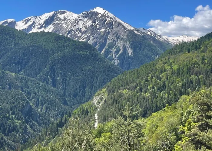 Appartement 4 Pers Pra Loup 1500